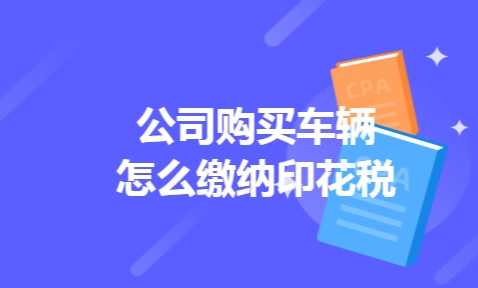 公司购车印花税怎么交(公司购车印花税交纳指南)