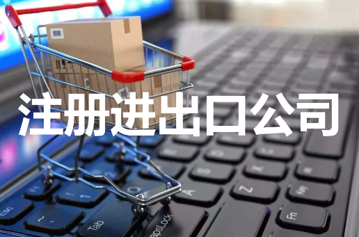成立进出口公司流程